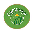 Camposol